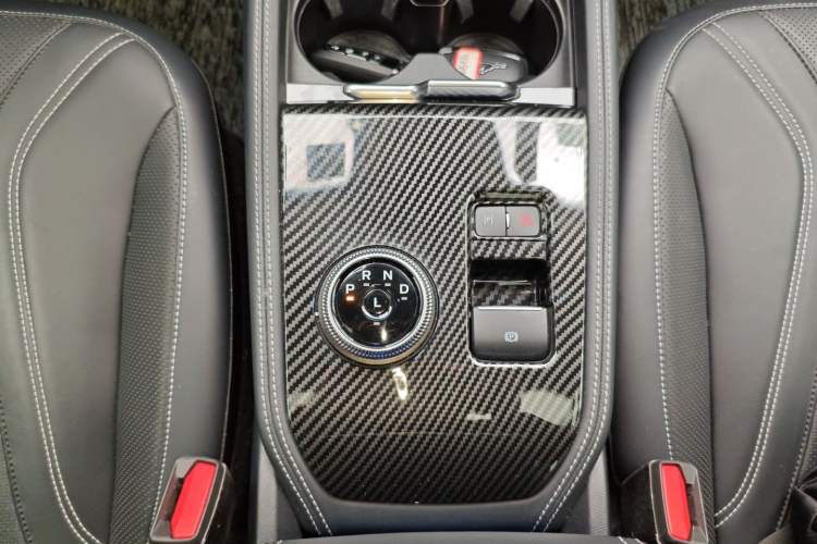 Used Ford Mustang Mach-E 2021 AION Y Plus Rear-Drive Luxury Edition (Long Range) Gear Lever