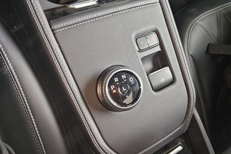 Used Ford Mustang Mach-E 2021 Leap Edition Rear-Drive Version (Standard Range) Gear Lever