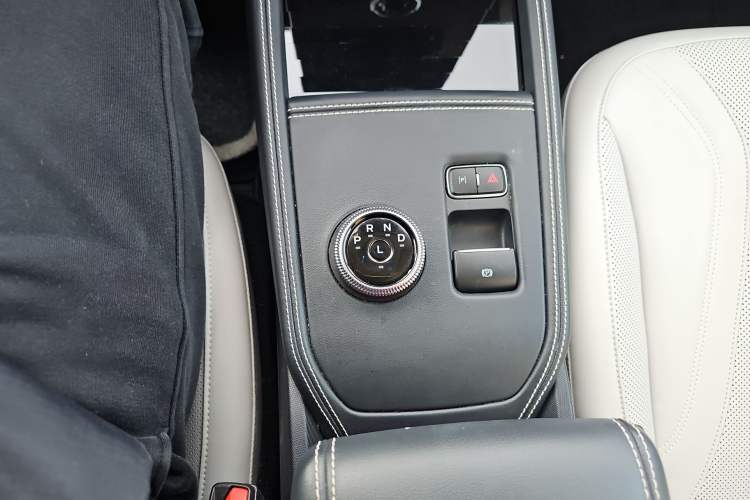 Used Ford Mustang Mach-E 2021 AION Y Plus Rear-Drive Luxury Edition (Long Range) Gear Lever