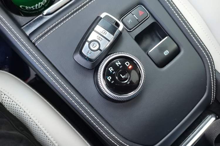 Used Ford Mustang Mach-E 2021 AION Y Plus Rear-Drive Luxury Edition (Long Range) Gear Lever
