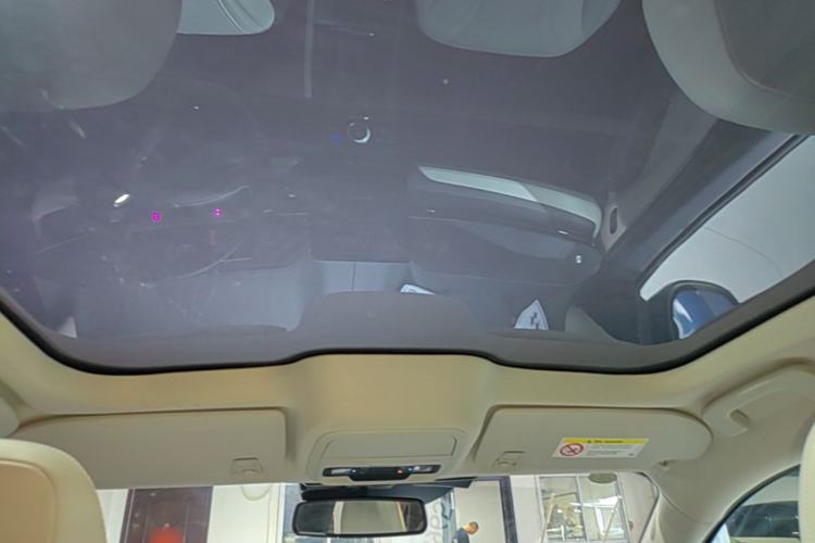 Used Ford Mustang Mach-E 2021 AION Y Plus Rear-Drive Luxury Edition (Long Range) Headliner
