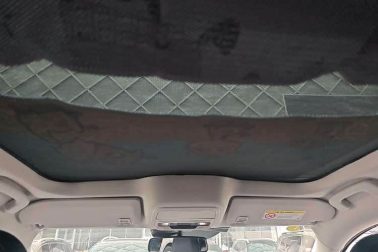 Used Ford Mustang Mach-E 2021 AION Y Plus Rear-Drive Luxury Edition (Long Range) Headliner