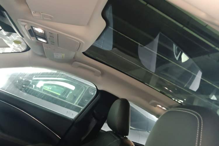 Used Ford Mustang Mach-E 2021 Leap Edition Rear-Drive Version (Standard Range) Headliner