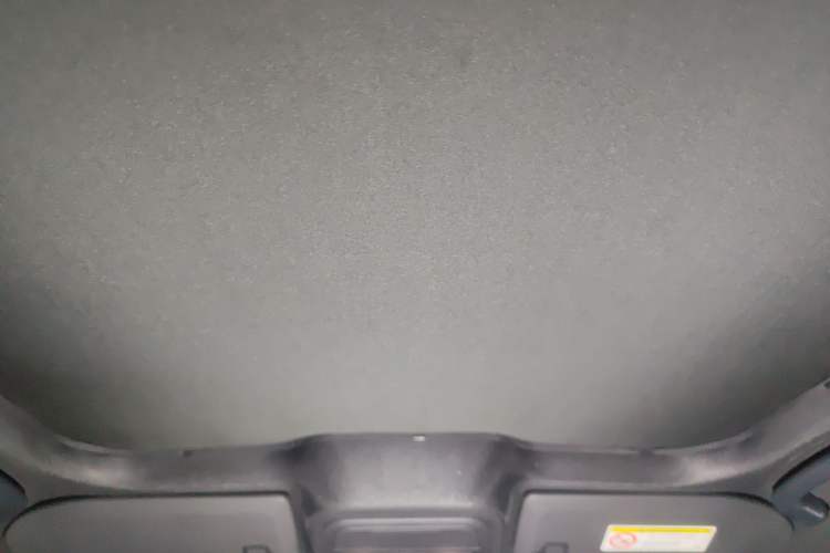 Used Ford Mustang Mach-E 2021 GT Model Headliner