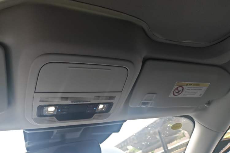 Used Ford Mustang Mach-E 2021 AION Y Plus Rear-Drive Luxury Edition (Long Range) Headliner