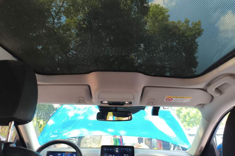 Used Ford Mustang Mach-E 2021 AION Y Plus Rear-Drive Luxury Edition (Long Range) Headliner