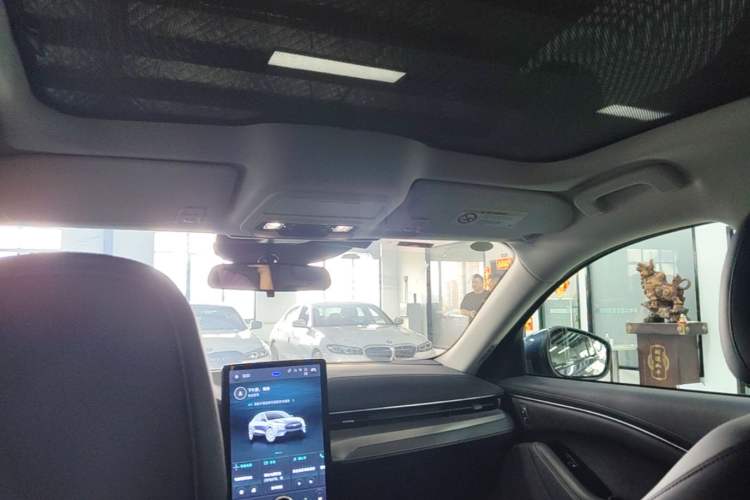 Used Ford Mustang Mach-E 2021 Wujiang Rear-Drive Version (Long Range) Headliner