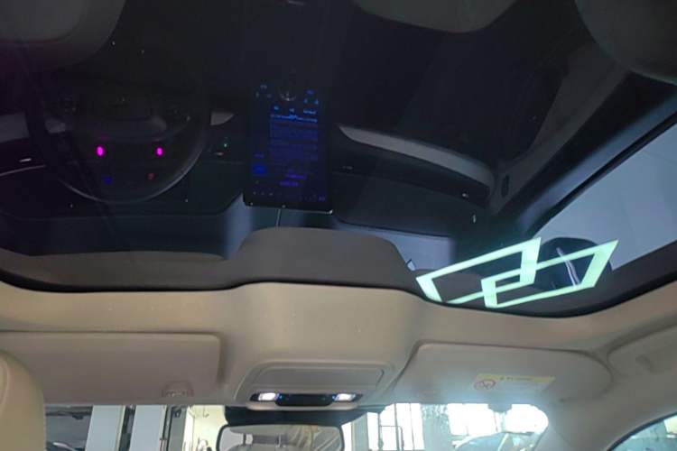 Used Ford Mustang Mach-E 2021 AION Y Plus Rear-Drive Luxury Edition (Long Range) Headliner