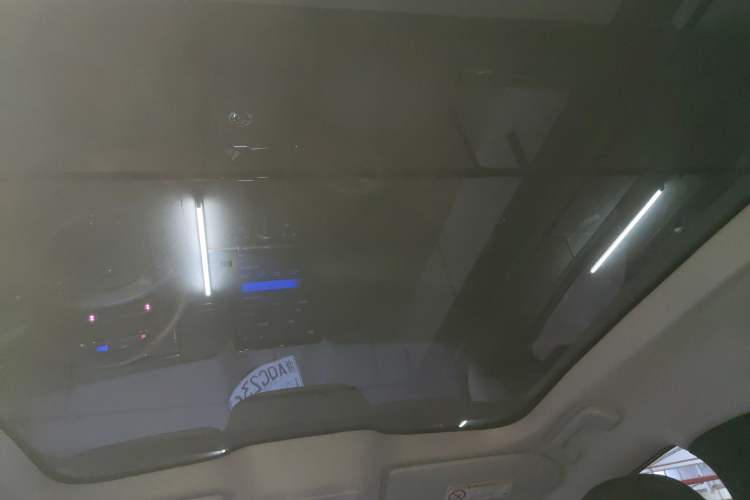 Used Ford Mustang Mach-E 2021 Leap Edition Rear-Drive Version (Standard Range) Headliner