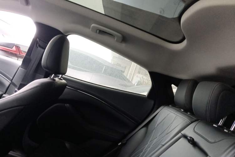 Used Ford Mustang Mach-E 2021 Leap Edition Rear-Drive Version (Standard Range) Headliner