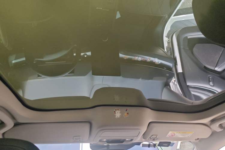 Used Ford Mustang Mach-E 2021 Leap Edition Rear-Drive Version (Standard Range) Headliner