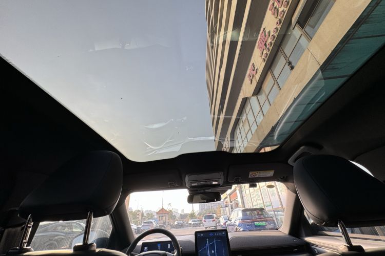 Used Ford Mustang Mach-E 2021 GT Model Headliner
