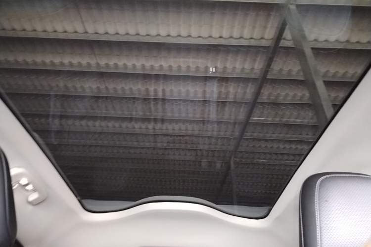 Used Ford Mustang Mach-E 2021 AION Y Plus Rear-Drive Luxury Edition (Long Range) Headliner