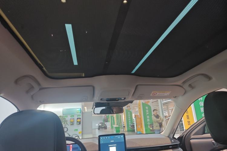 Used Ford Mustang Mach-E 2021 AION Y Plus Rear-Drive Luxury Edition (Long Range) Headliner