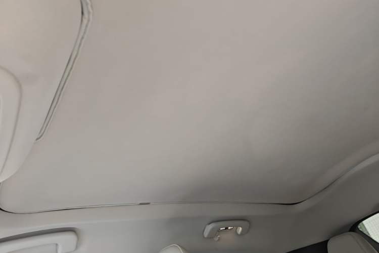 Used Ford Mustang Mach-E 2021 AION Y Plus Rear-Drive Luxury Edition (Long Range) Headliner