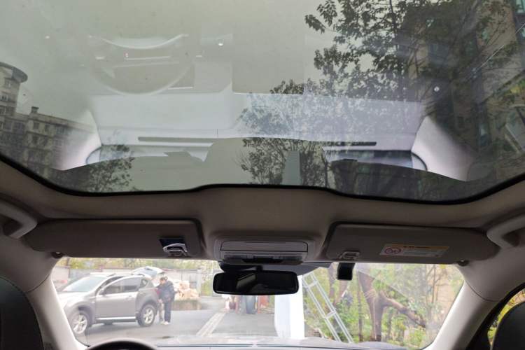 Used Ford Mustang Mach-E 2021 AION Y Plus Rear-Drive Luxury Edition (Long Range) Headliner