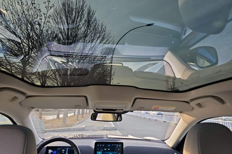 Used Ford Mustang Mach-E 2021 AION Y Plus Rear-Drive Luxury Edition (Long Range) Headliner