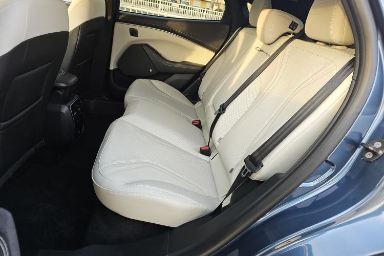 Used Ford Mustang Mach-E 2021 AION Y Plus Rear-Drive Luxury Edition (Long Range) Interior 1