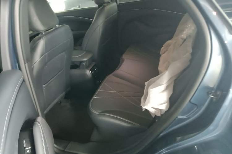 Used Ford Mustang Mach-E 2021 Leap Edition Rear-Drive Version (Standard Range) Left Rear Seat