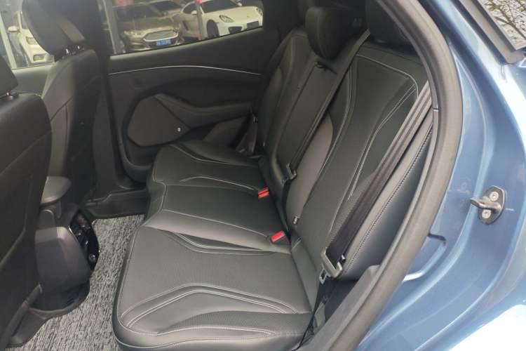 Used Ford Mustang Mach-E 2021 AION Y Plus Rear-Drive Luxury Edition (Long Range) Left Rear Seat