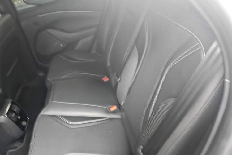 Used Ford Mustang Mach-E 2021 Wujiang Rear-Drive Version (Long Range) Left Rear Seat