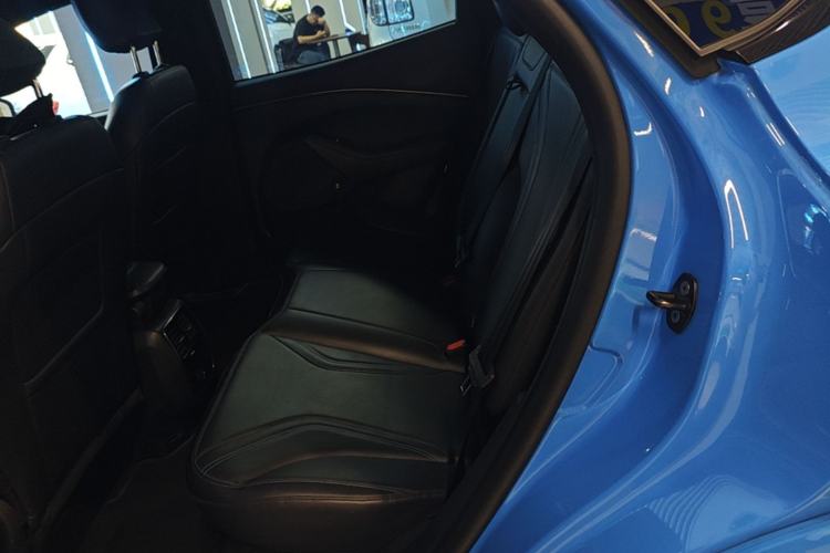 Used Ford Mustang Mach-E 2021 GT Model Left Rear Seat