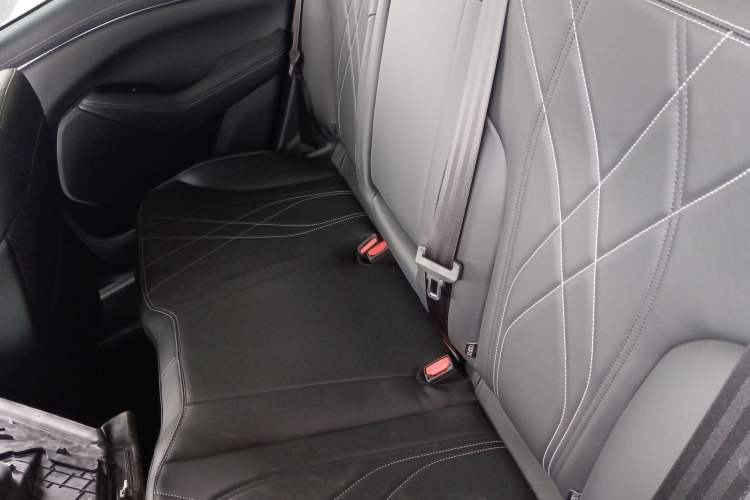 Used Ford Mustang Mach-E 2021 Leap Edition Rear-Drive Version (Standard Range) Left Rear Seat