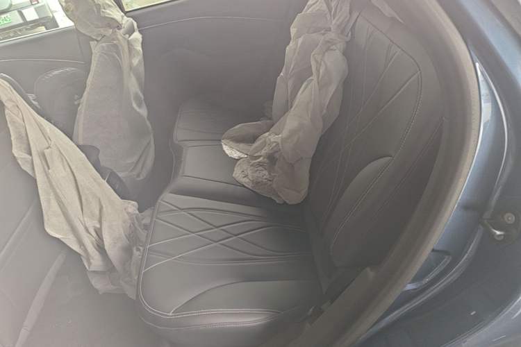 Used Ford Mustang Mach-E 2021 Leap Edition Rear-Drive Version (Standard Range) Left Rear Seat