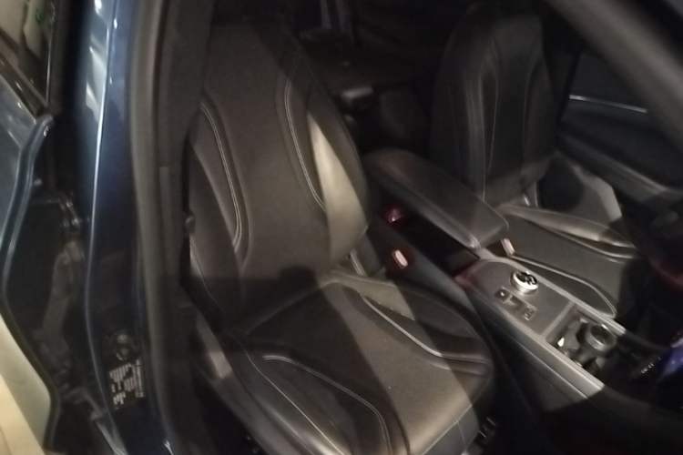 Used Ford Mustang Mach-E 2021 AION Y Plus Rear-Drive Luxury Edition (Long Range) Right Front Seat