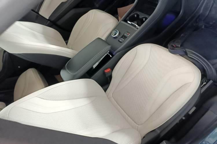 Used Ford Mustang Mach-E 2021 AION Y Plus Rear-Drive Luxury Edition (Long Range) Right Front Seat