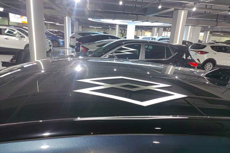 Used Ford Mustang Mach-E 2021 AION Y Plus Rear-Drive Luxury Edition (Long Range) Roof