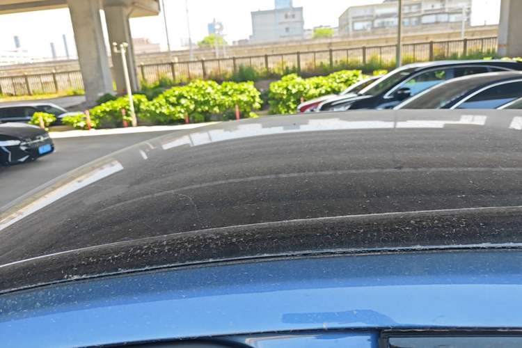 Used Ford Mustang Mach-E 2021 Leap Edition Rear-Drive Version (Standard Range) Roof