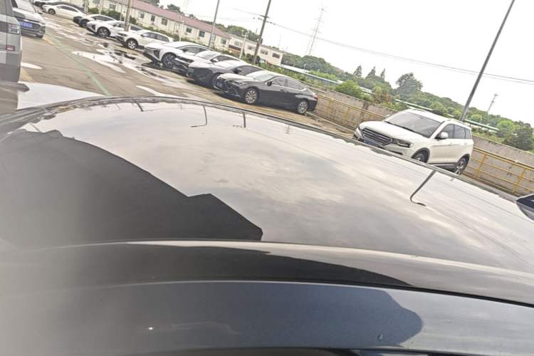Used Ford Mustang Mach-E 2021 Leap Edition Rear-Drive Version (Standard Range) Roof