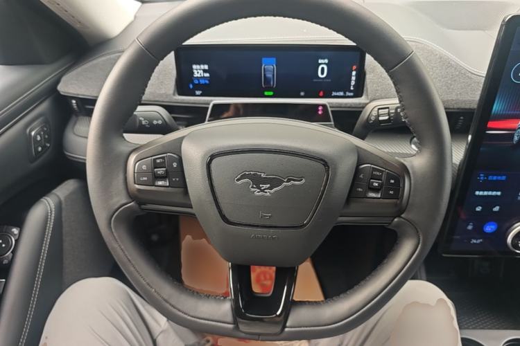 Used Ford Mustang Mach-E 2021 AION Y Plus Rear-Drive Luxury Edition (Long Range) Steering Wheel