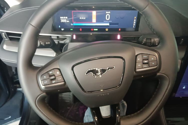 Used Ford Mustang Mach-E 2021 Leap Edition Rear-Drive Version (Standard Range) Steering Wheel