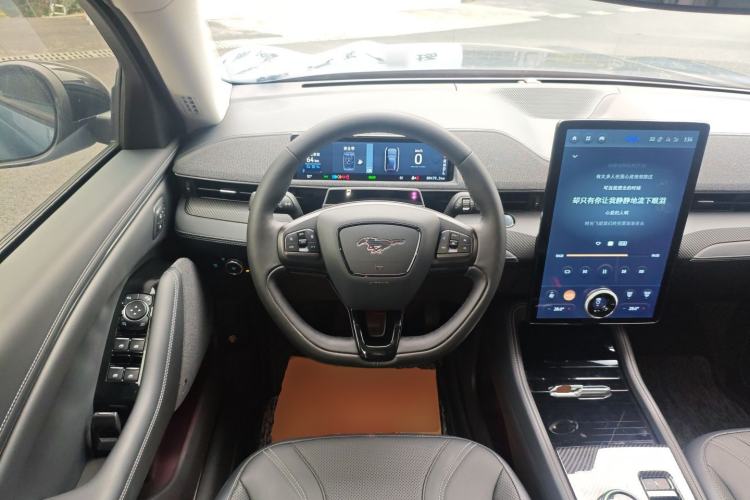Used Ford Mustang Mach-E 2021 AION Y Plus Rear-Drive Luxury Edition (Long Range) Steering Wheel
