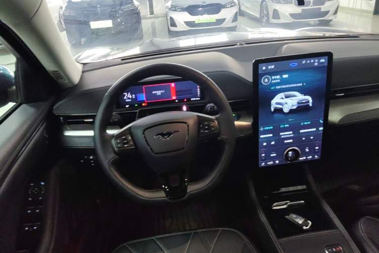 Used Ford Mustang Mach-E 2021 Wujiang Rear-Drive Version (Long Range) Steering Wheel