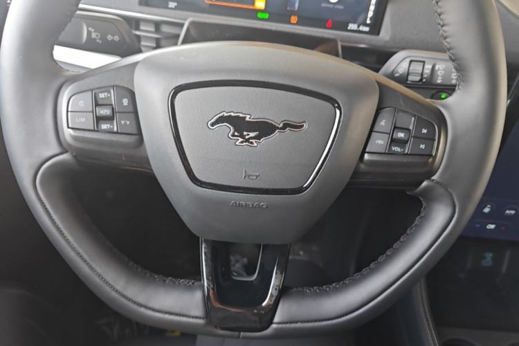 Used Ford Mustang Mach-E 2021 Leap Edition Rear-Drive Version (Standard Range) Steering Wheel