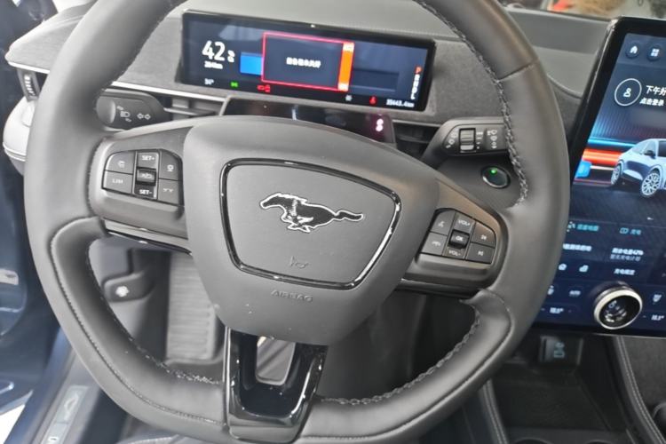 Used Ford Mustang Mach-E 2021 Wujiang Rear-Drive Version (Long Range) Steering Wheel