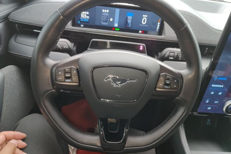 Used Ford Mustang Mach-E 2021 AION Y Plus Rear-Drive Luxury Edition (Long Range) Steering Wheel