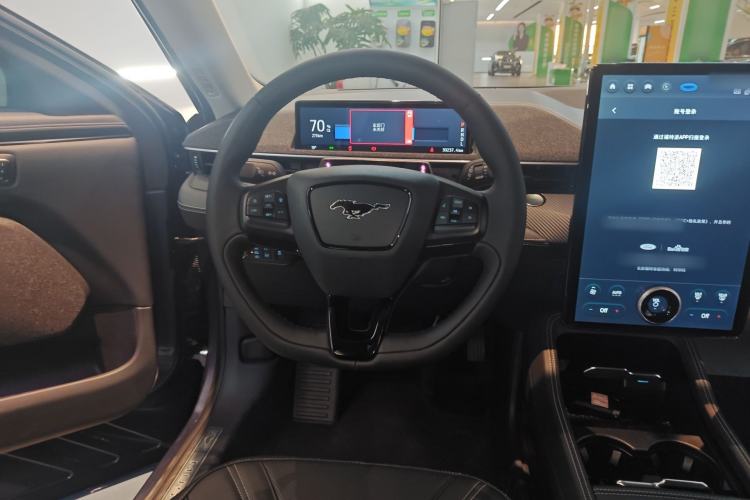Used Ford Mustang Mach-E 2021 AION Y Plus Rear-Drive Luxury Edition (Long Range) Steering Wheel