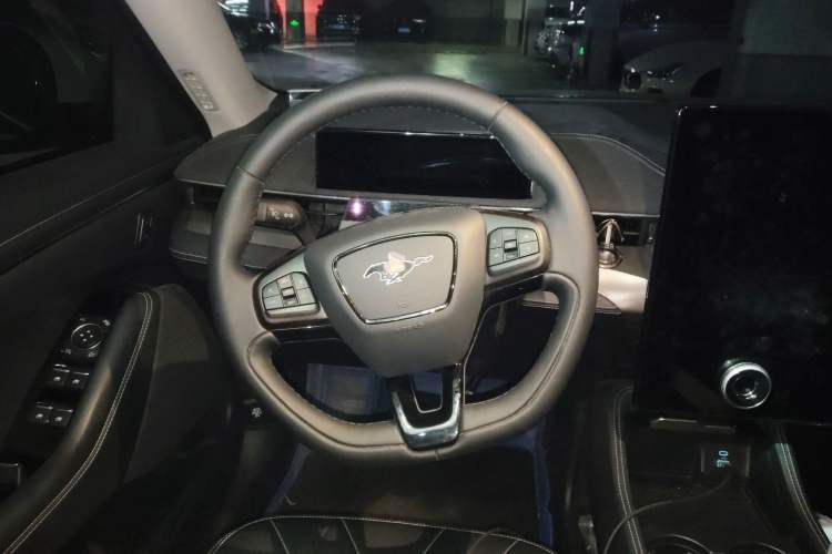 Used Ford Mustang Mach-E 2021 Leap Edition Rear-Drive Version (Standard Range) Steering Wheel