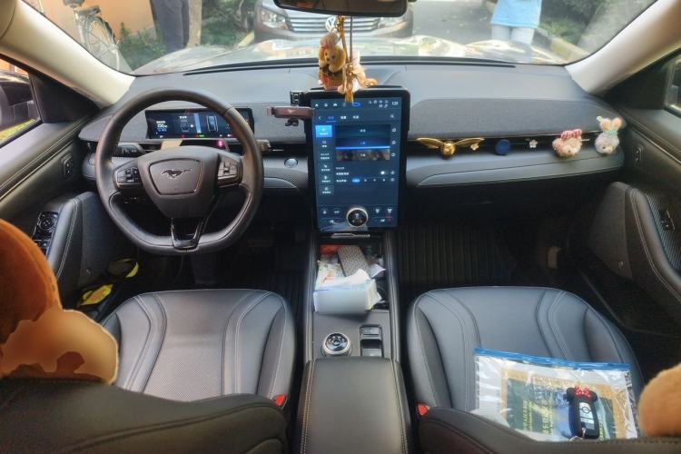 Used Ford Mustang Mach-E 2021 AION Y Plus Rear-Drive Luxury Edition (Long Range) Center Console