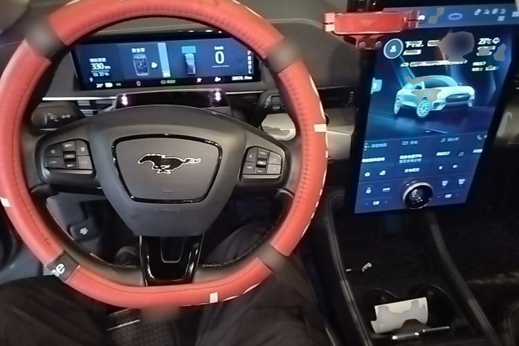 Used Ford Mustang Mach-E 2021 Leap Edition Rear-Drive Version (Standard Range) Center Console