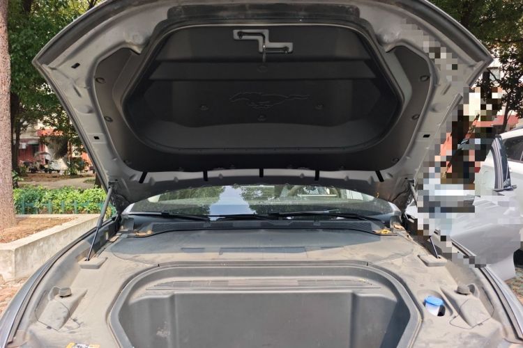 Used Ford Mustang Mach-E 2021 Leap Edition Rear-Drive Version (Standard Range) Engine Bay