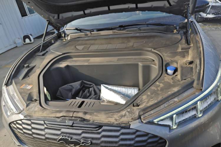 Used Ford Mustang Mach-E 2021 AION Y Plus Rear-Drive Luxury Edition (Long Range) Engine Bay