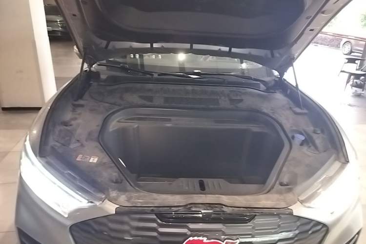 Used Ford Mustang Mach-E 2021 Leap Edition Rear-Drive Version (Standard Range) Engine Bay