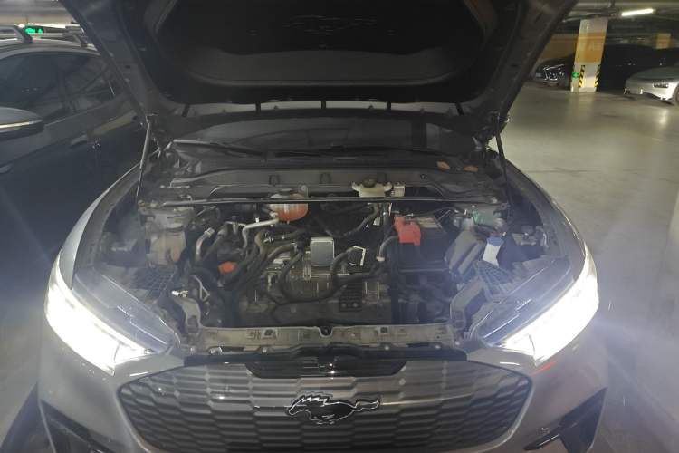 Used Ford Mustang Mach-E 2021 AION Y Plus Rear-Drive Luxury Edition (Long Range) Engine Bay