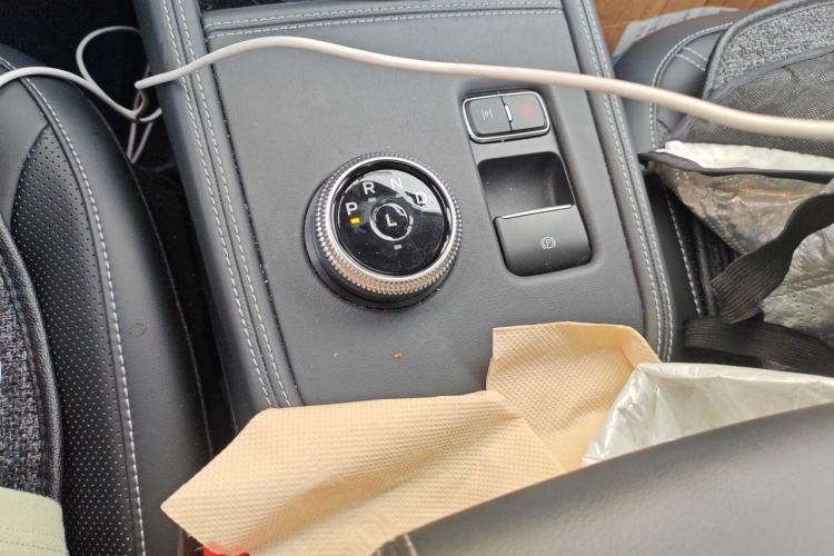 Used Ford Mustang Mach-E 2021 AION Y Plus Rear-Drive Luxury Edition (Long Range) Gear Lever