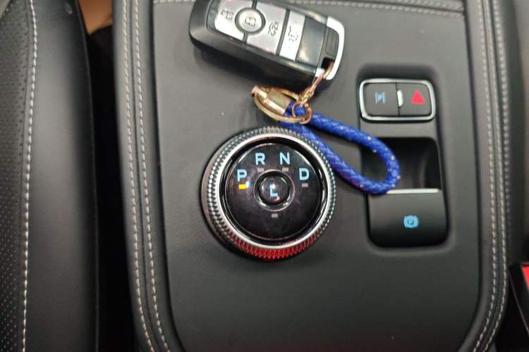 Used Ford Mustang Mach-E 2021 AION Y Plus Rear-Drive Luxury Edition (Long Range) Gear Lever